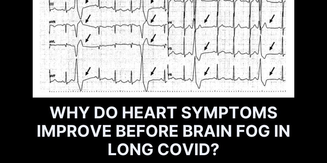 CureusMedical's tweet photo. This case showed early PVC improvement with EAT, followed by delayed cognitive recovery. Does this change how you think about autonomic dysfunction in Long COVID?

Read more: https://t.co/808TgKSNFp

#Cureus #COVID #AutonomicDysfunction #Cardiology #MedEd https://t.co/hkJhU6hrpK