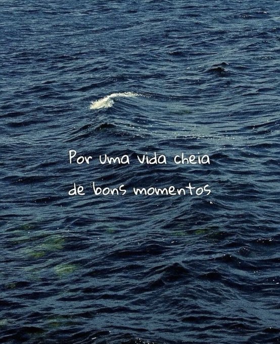 Segundos antes da merda (@segantes) on Twitter photo 