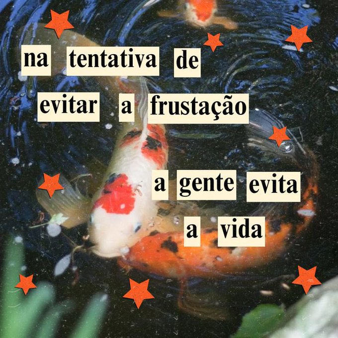acervobichinho's tweet photo. https://t.co/zFEw3kOhMa