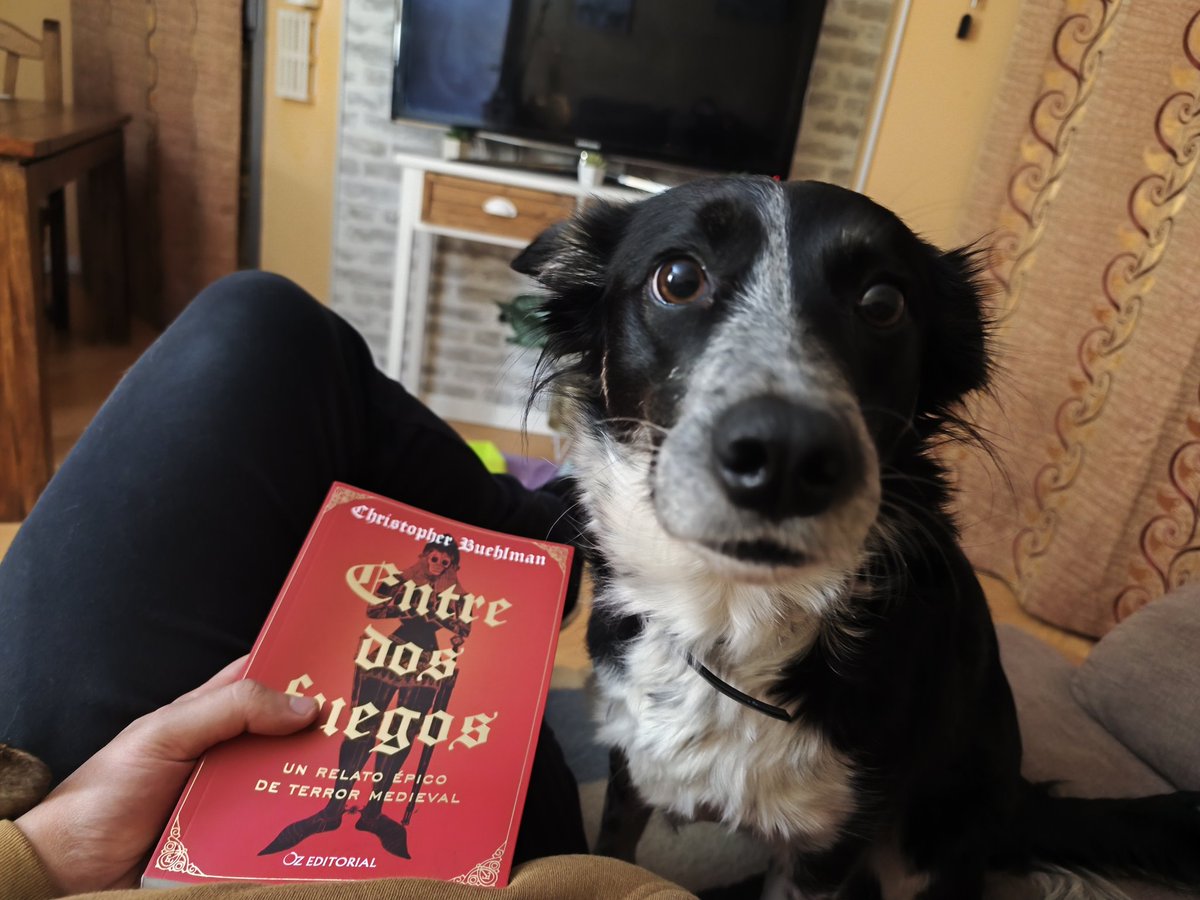 POV: Eres yo intentando leer un poco.