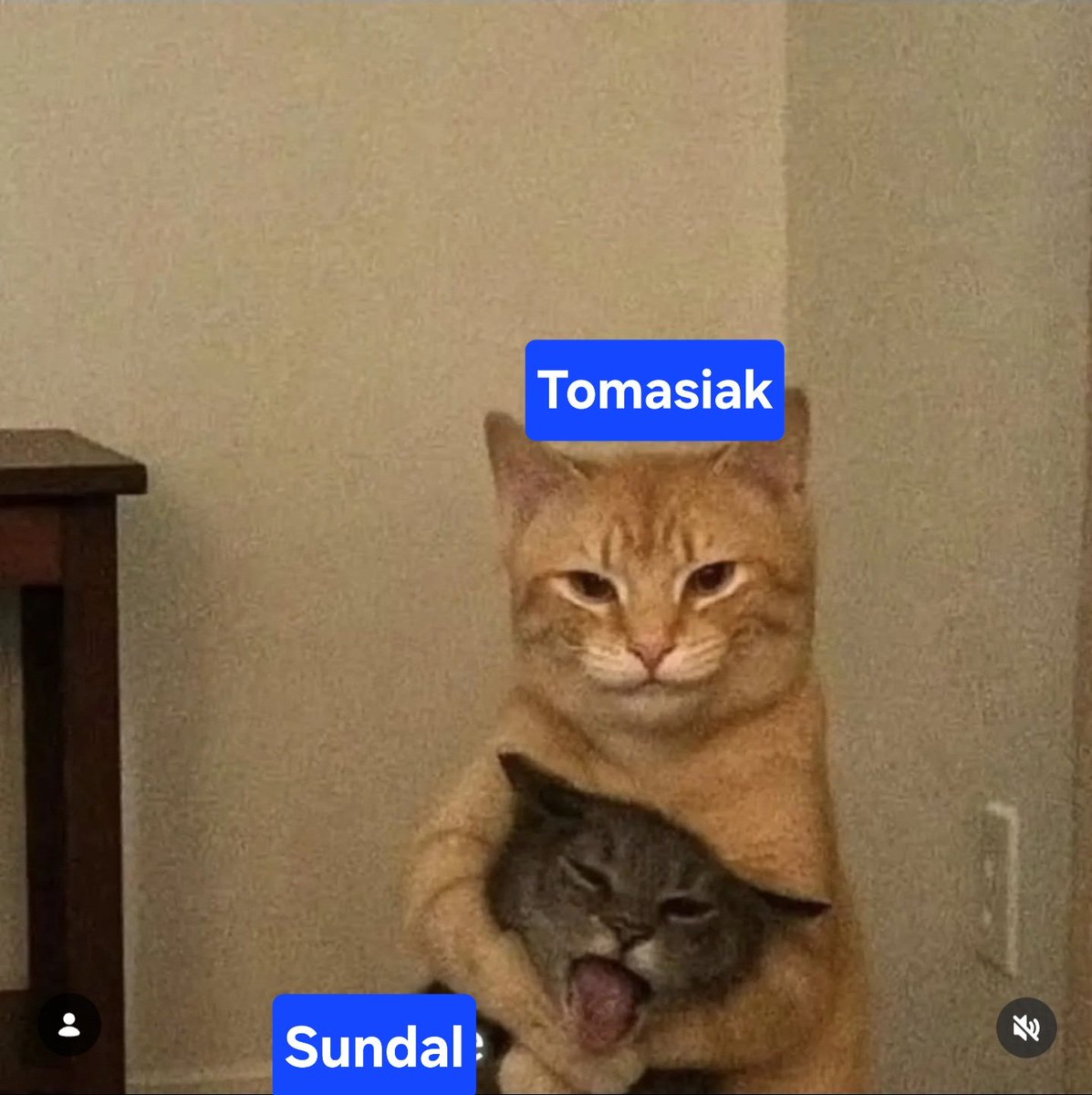 shieet24's tweet photo. I tak to się kręci na tych Igrzyskach
#skijumpingfamily https://t.co/u27pWI55Hy