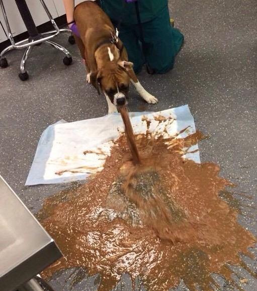 Mel Gibson fan 83 tweet media