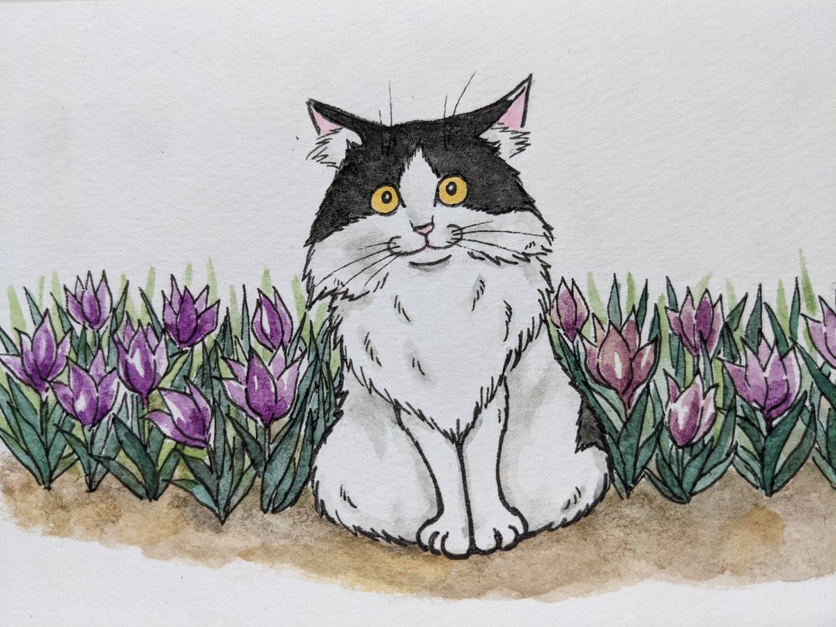 Poppy Tuxedo, Smokey and Foxy tweet media