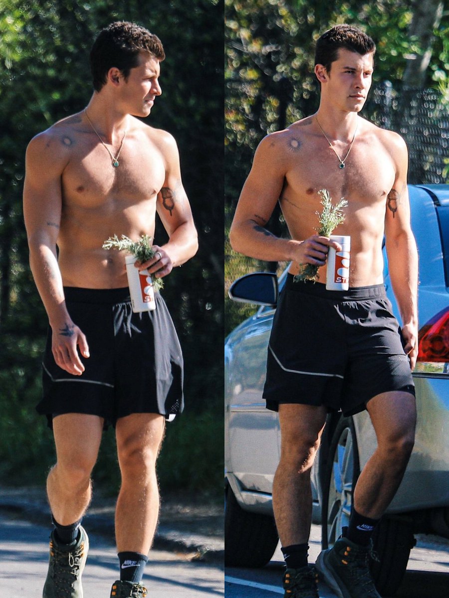 Shawn Mendes CHEST in this pic 🥵👅