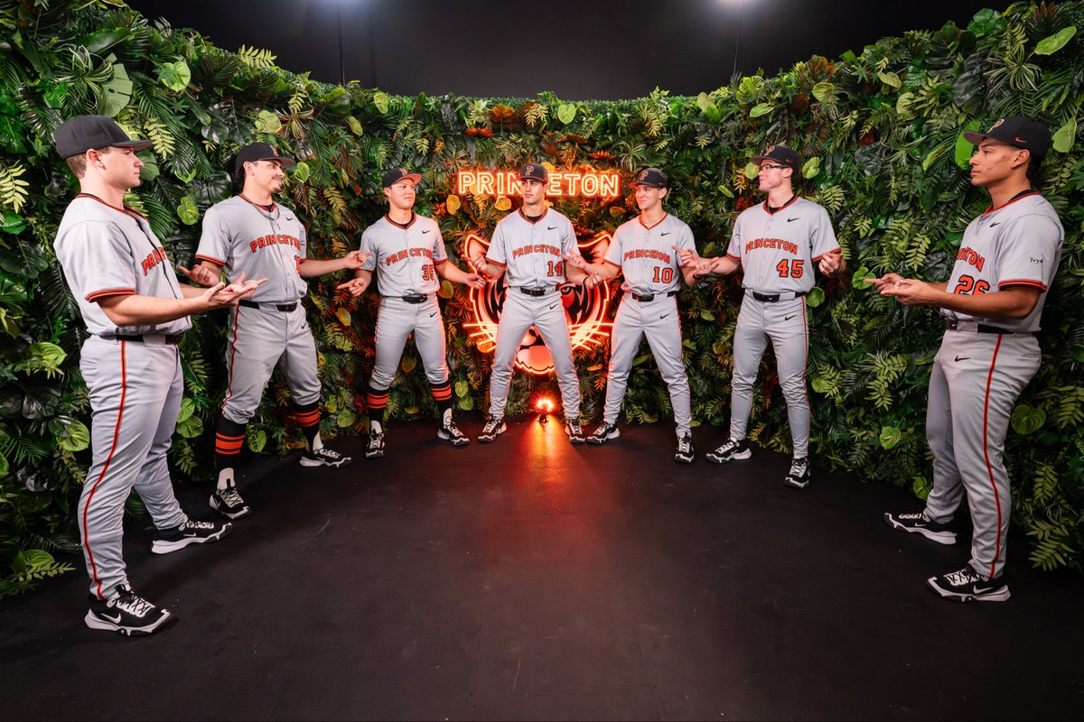 Princeton Baseball tweet media