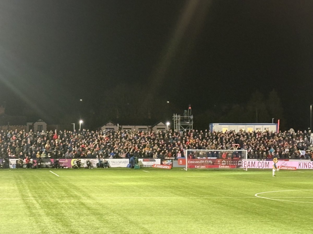 David Davies tweet media