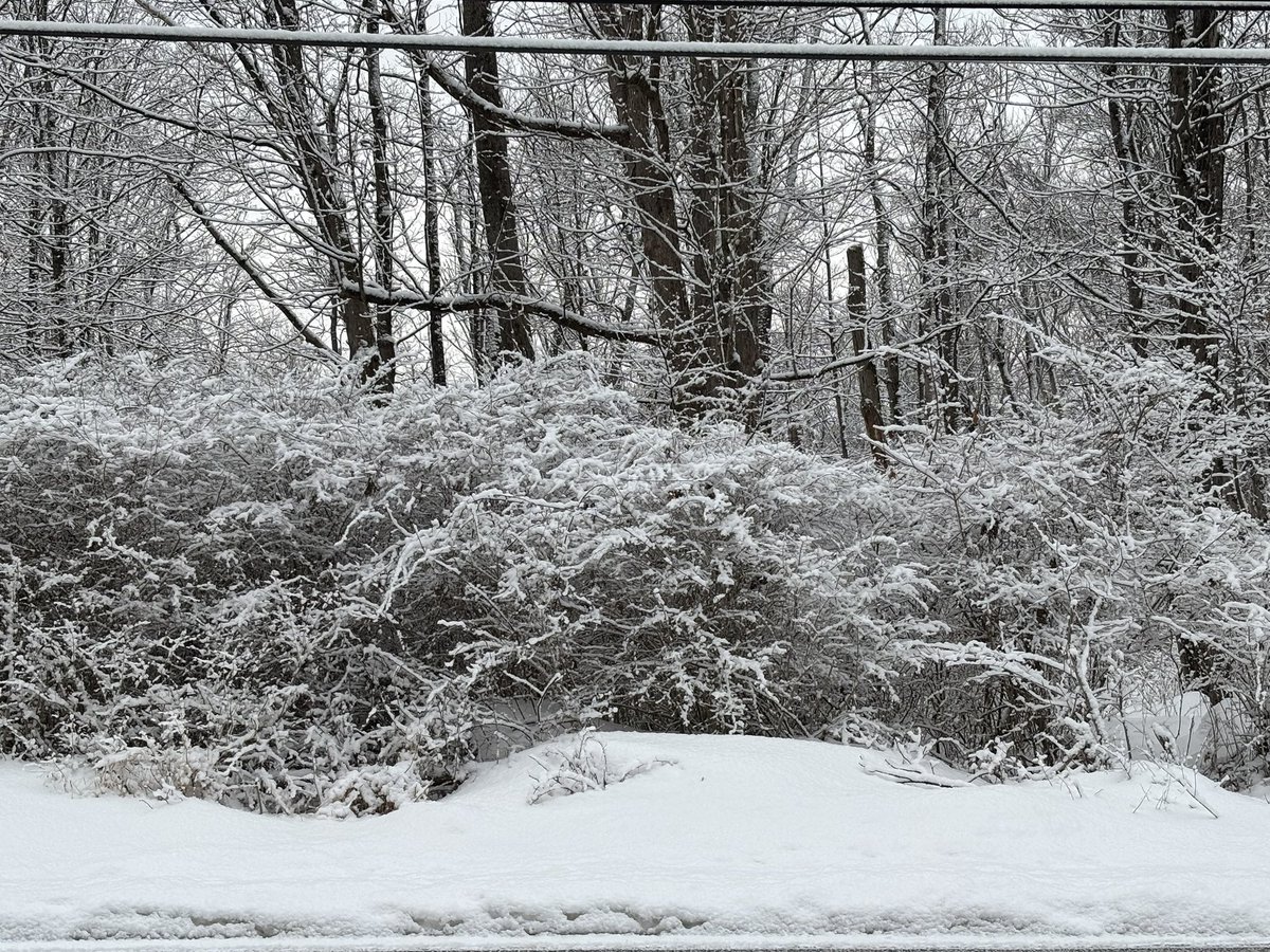 Steve Hailstone (K3SLH) tweet media