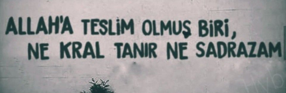 Bürküt. (@hurriyetulan) on Twitter photo 