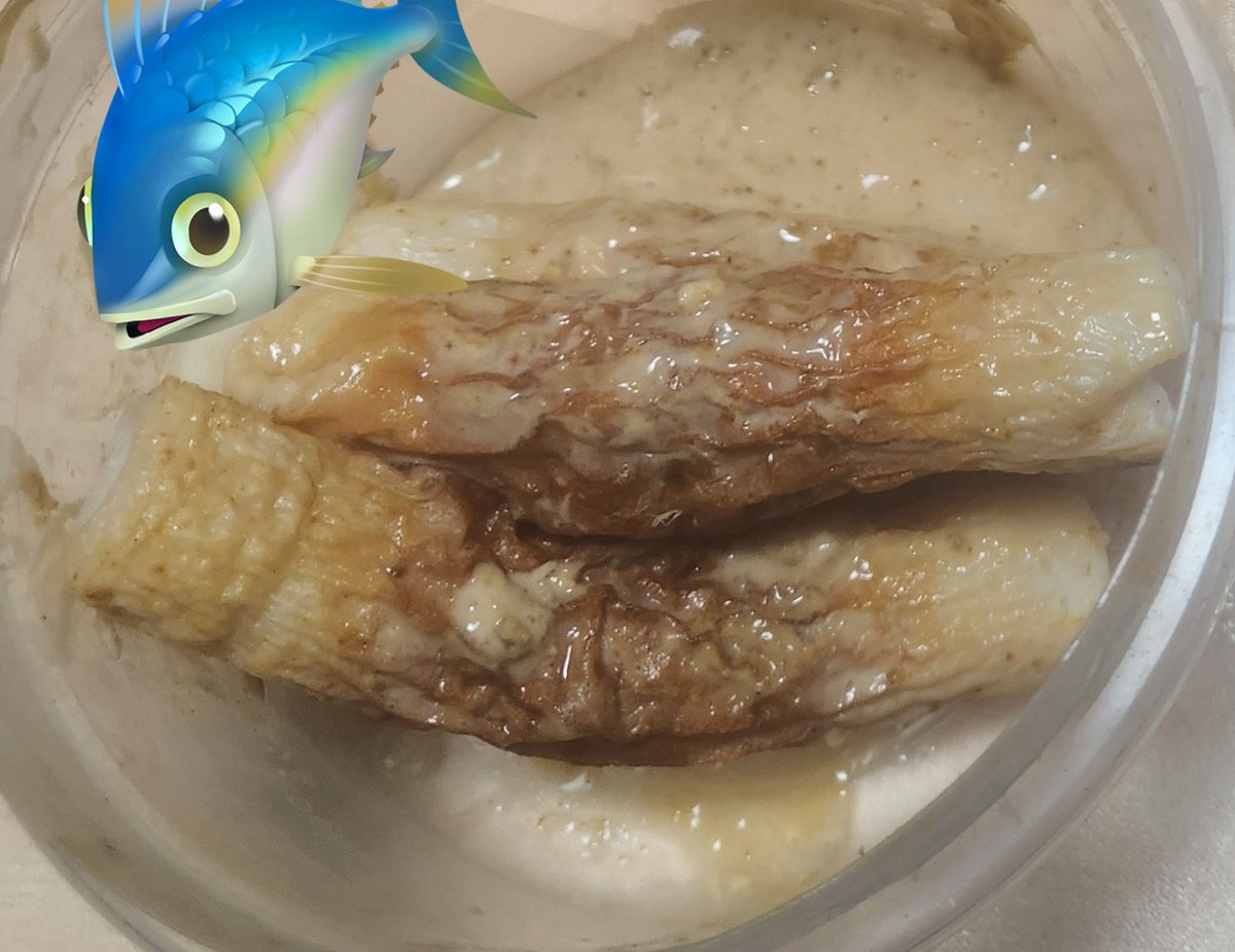 ロイくん (@iii_Roy_iii) / Posts / X