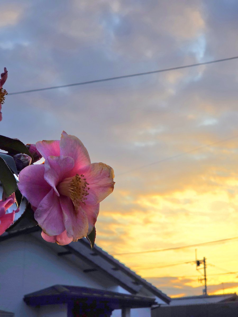 おはようございます
本日もよろしくお願いします😊
