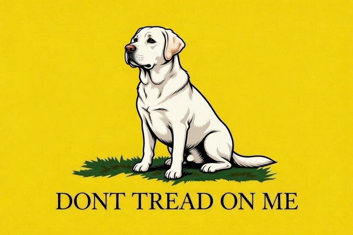 Mugiwara tweet media