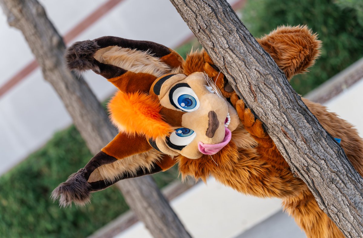 phantom__Q's tweet photo. uh, meow?

happy #morefurlessmonday https://t.co/ahynjGCT9u