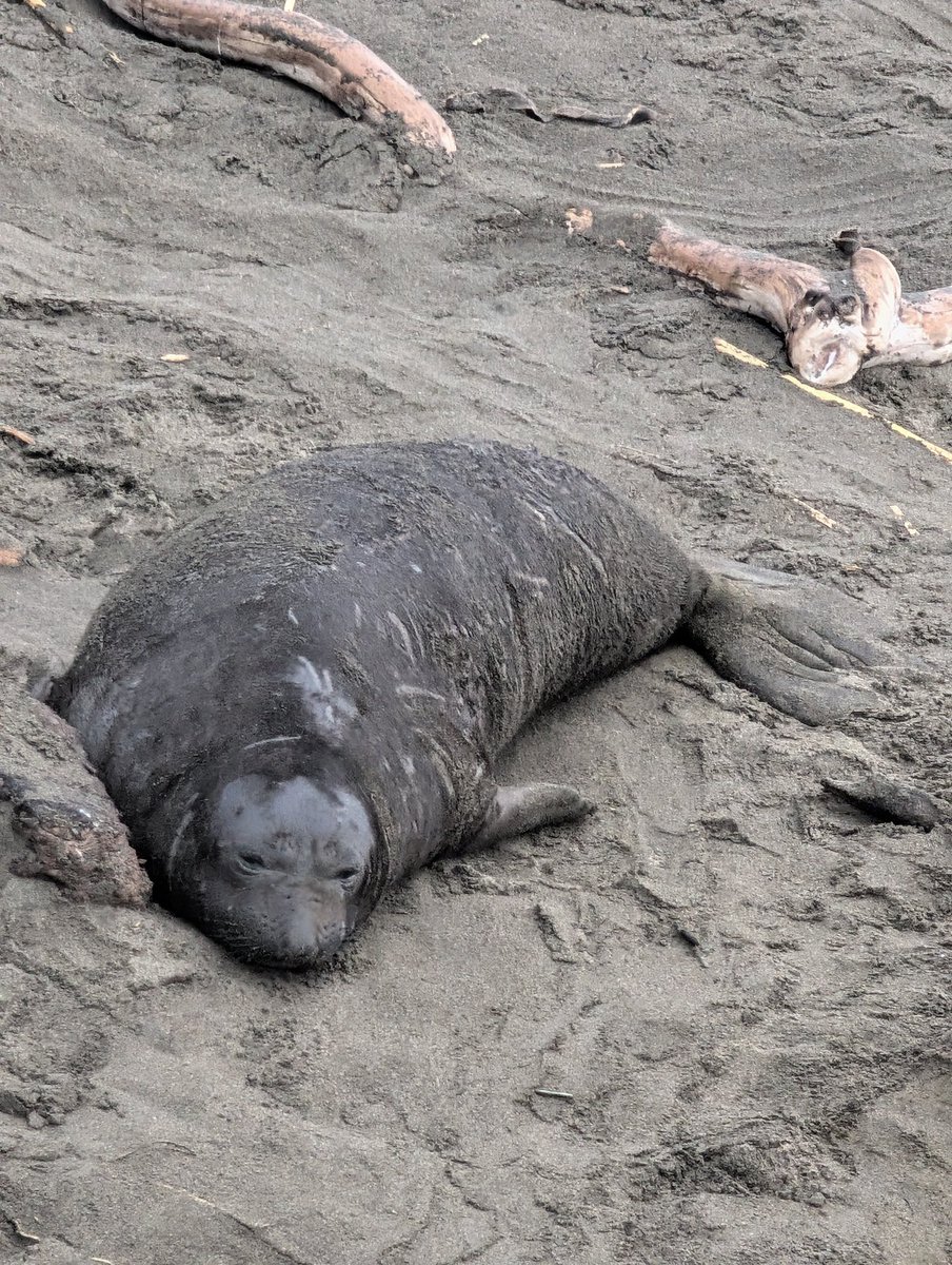 Monica S. tweet media