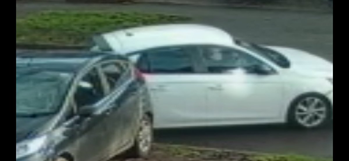 emma and stew tweet media