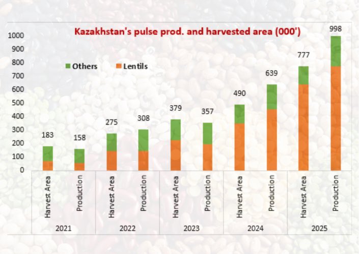 grain_on_X's tweet image. 🇰🇿Kazakhstan: #lentil production soars 70% in 2025/26 MY. Total #pulse output in the country reached approximately 998 KMT representing increase of 56% PMY

linkedin.com/posts/rusgrain…