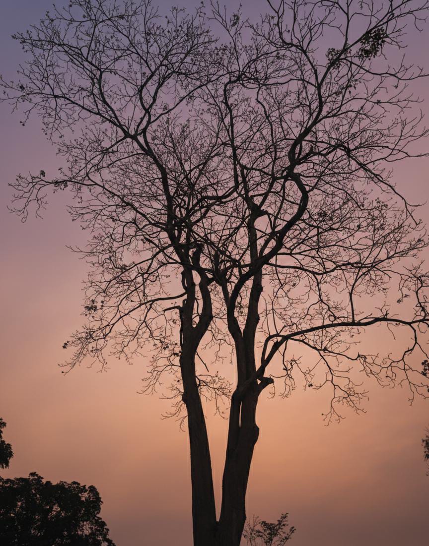 The Living Tribunal tweet media