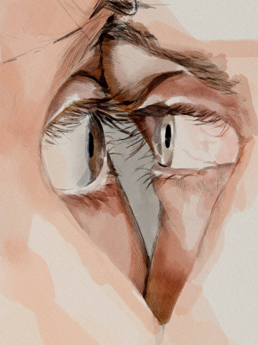 By Tito Merello
