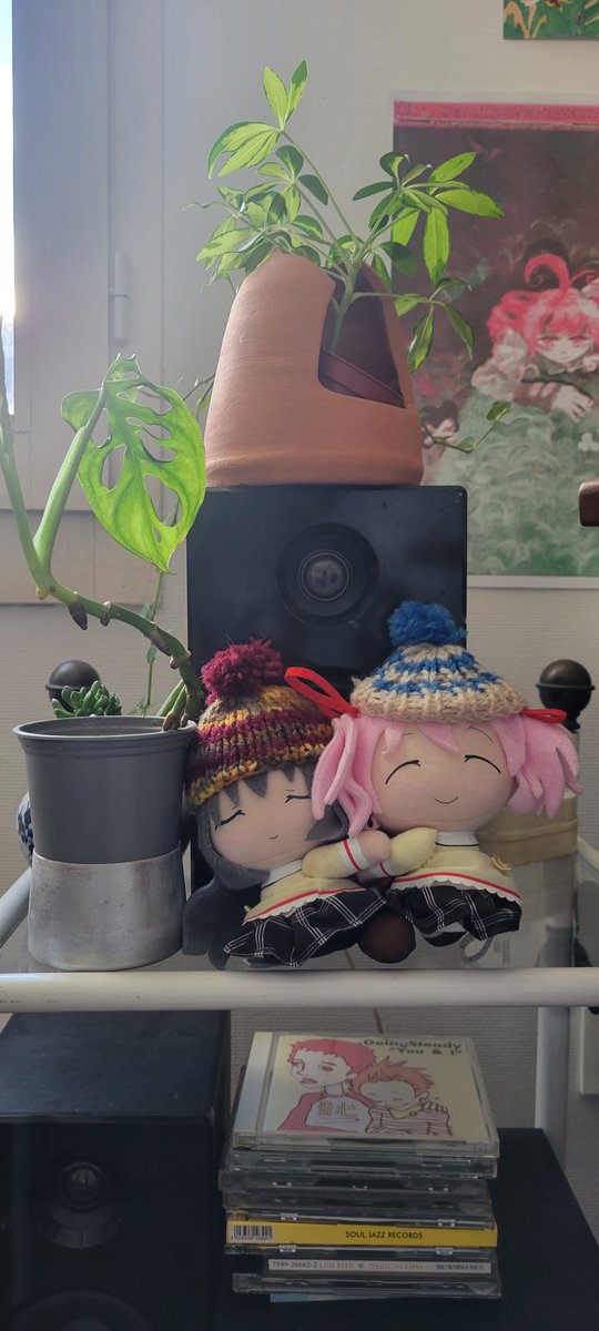 bor 🍉 tweet media