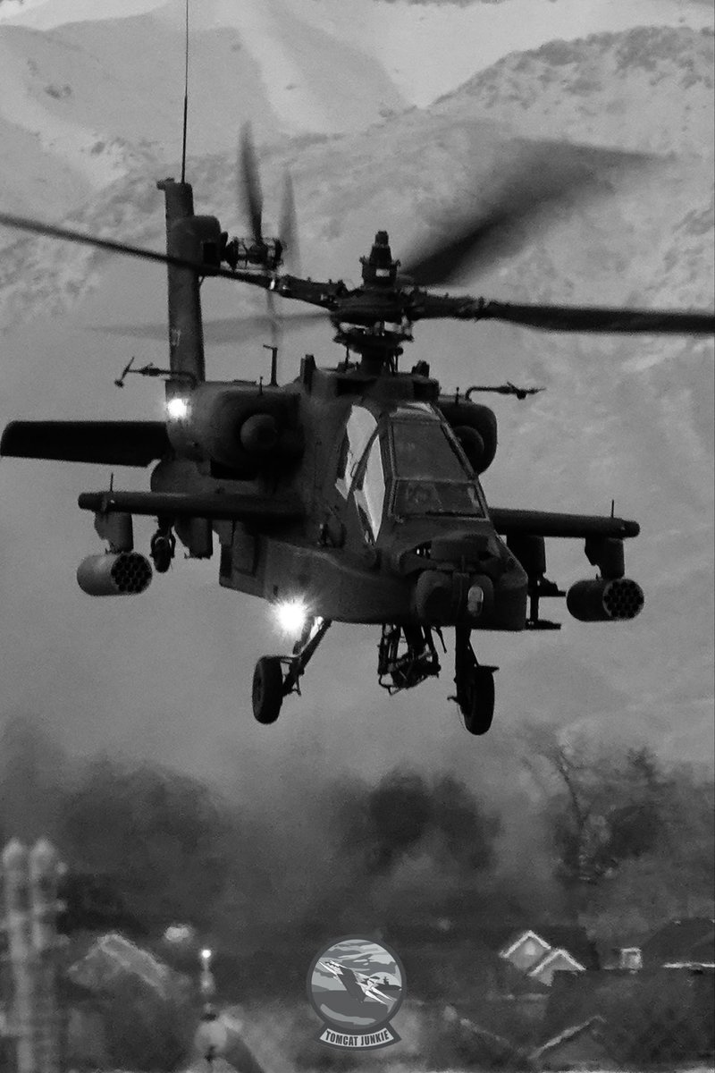 TomcatJunkie🏴‍☠️ tweet media