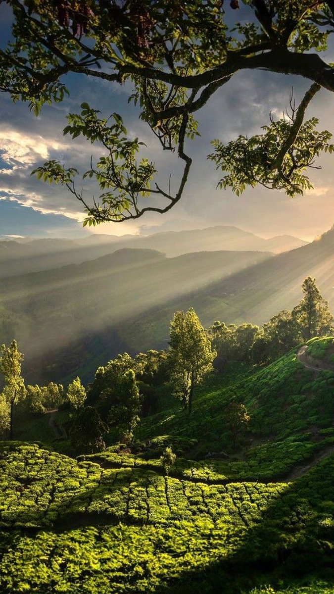 ᅠ ᅠ (@greendreaams) on Twitter photo 