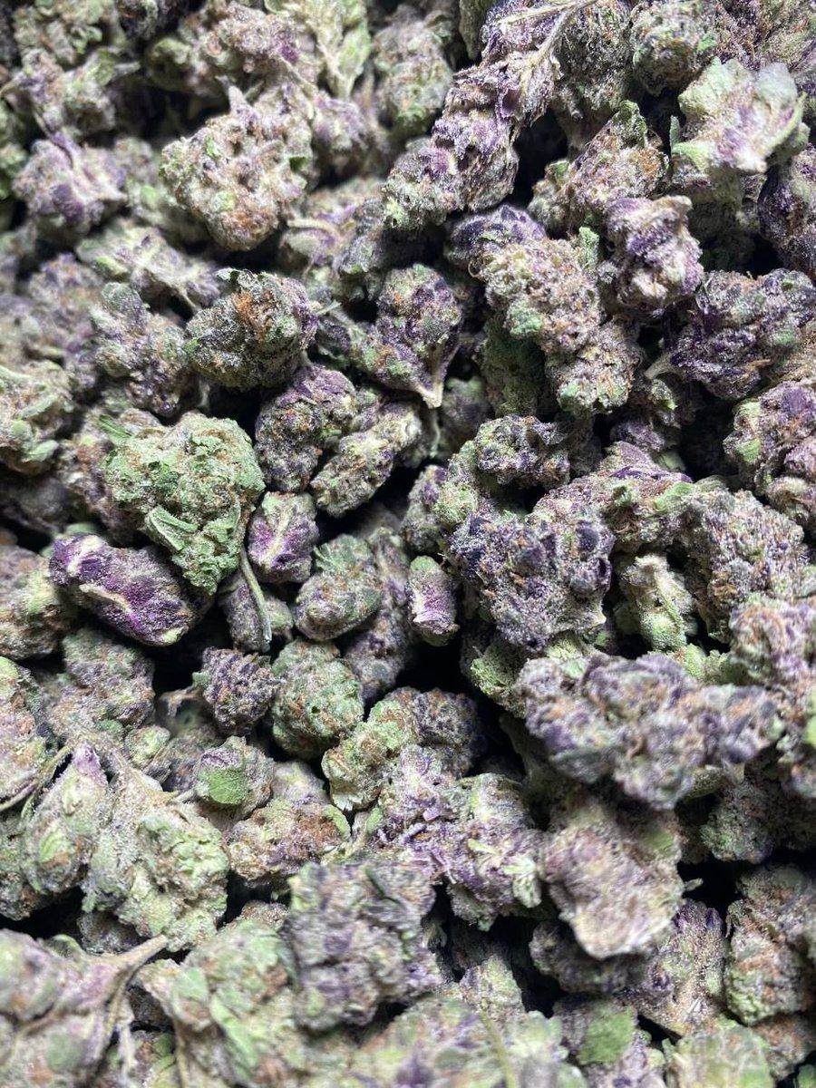az__GZ5YLZ's tweet image. Purple Nerdz 🍋🍒💨🍬🍭

Zip $100 all day !!!

#houstonplug #weedplug #katyweedplug
#texasweed
#mobileweedplug
Delivering today !! 🍭 tapin 📲#houstontxOnly