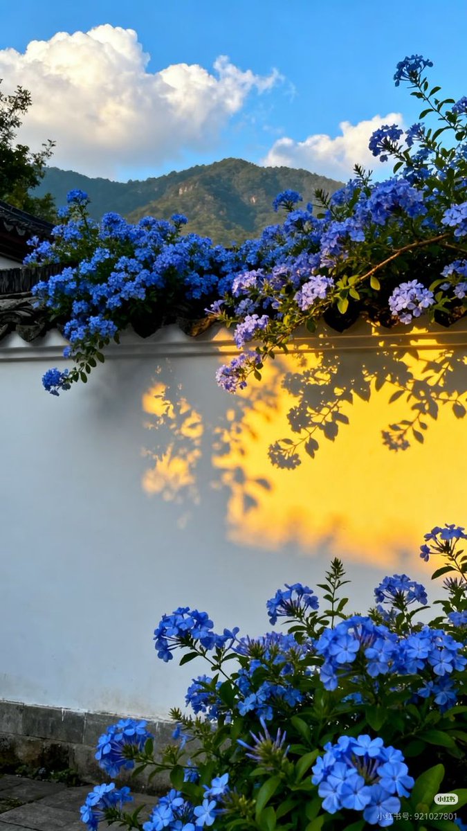 ᅠ ᅠ (@greendreaams) on Twitter photo 