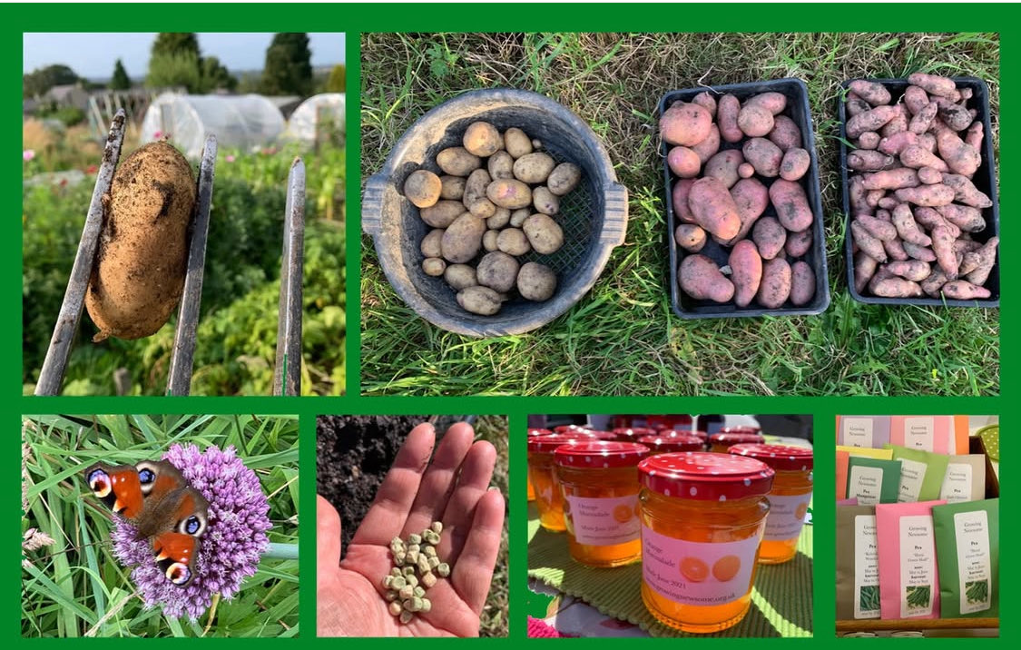 Join us for our Huddersfield Potato Day &amp; Seed Swap. 25 varieties of seed potato, plus onions &amp; veg seeds. Stalls &amp; activities. Local food on sale. Refreshments &amp; a hot lunch.

📅 Sat 7th March
⏰ 10am-1pm
🍽️ Lunch 12 noon
📍 Newsome Scout Hall HD4 6JJ

growingnewsome.wordpress.com/2026/02/02/gro…