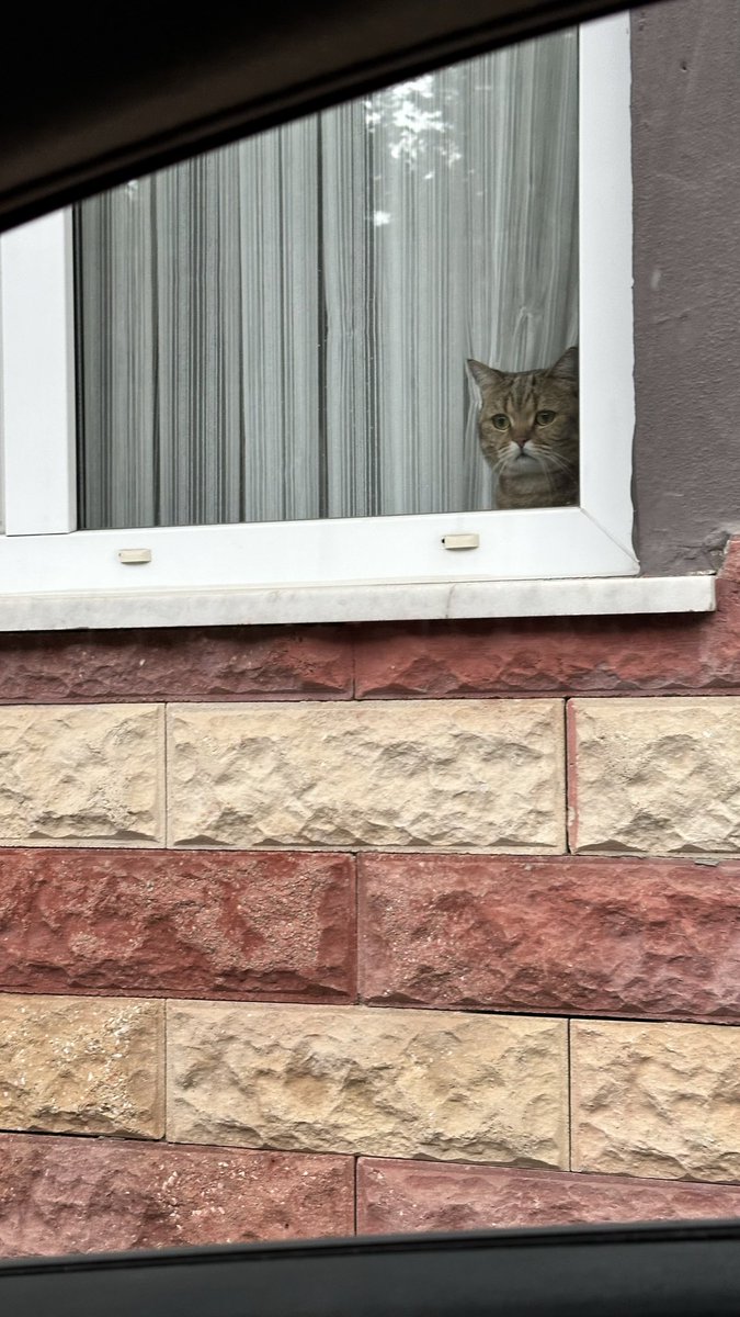 Ben seni bırakır mıyım hiç