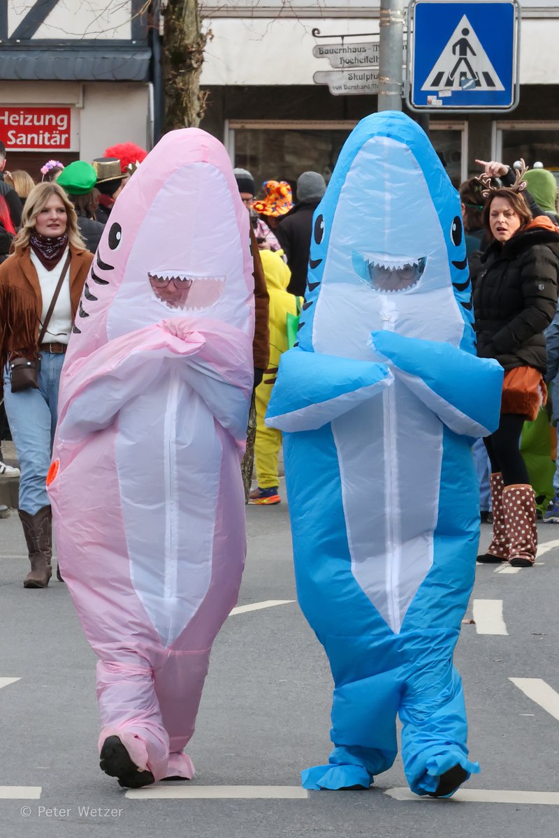 Peter Wetzer 😊 tweet media