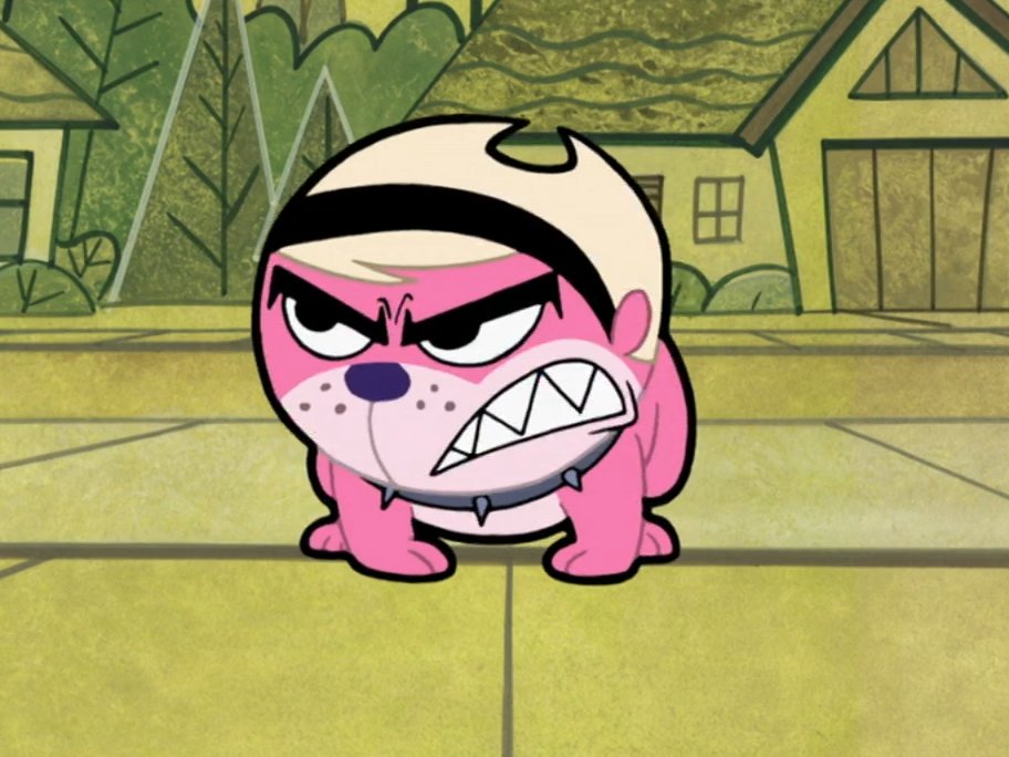 Checkered Network tweet media