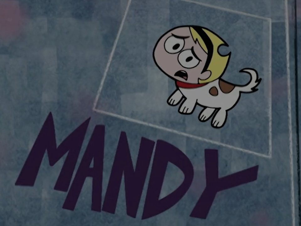 Checkered Network tweet media