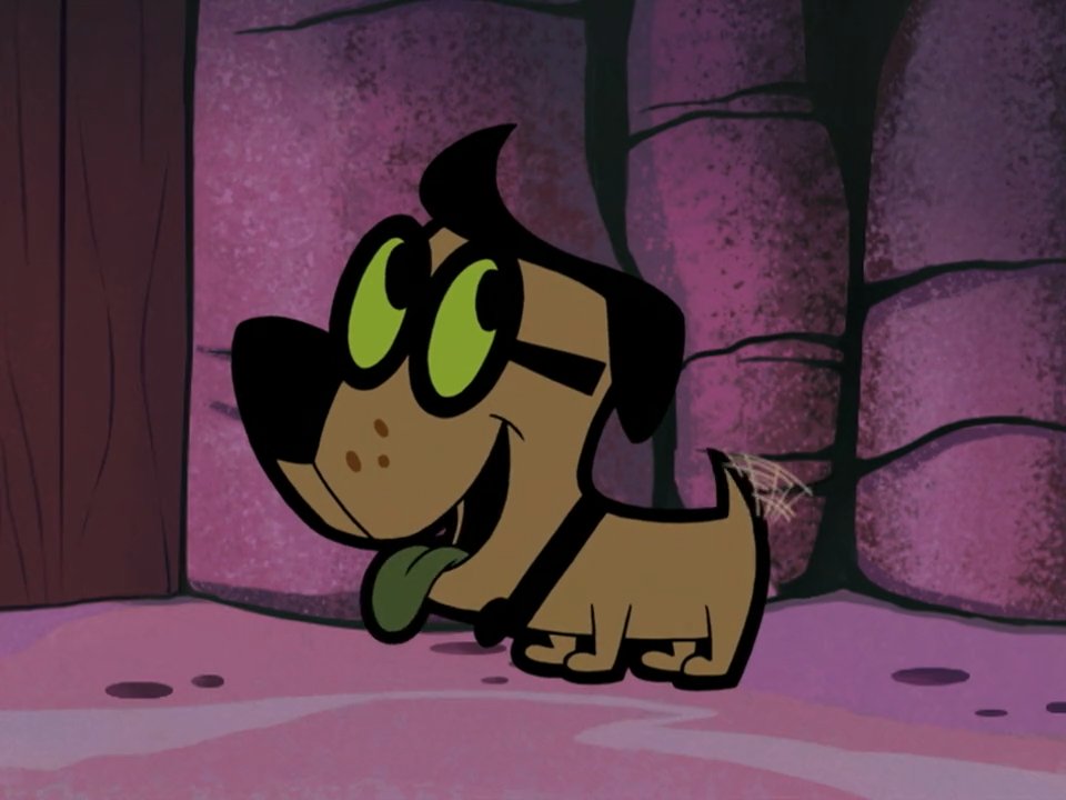 Checkered Network tweet media