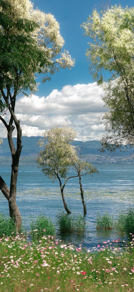 ᅠ ᅠ (@greendreaams) on Twitter photo 