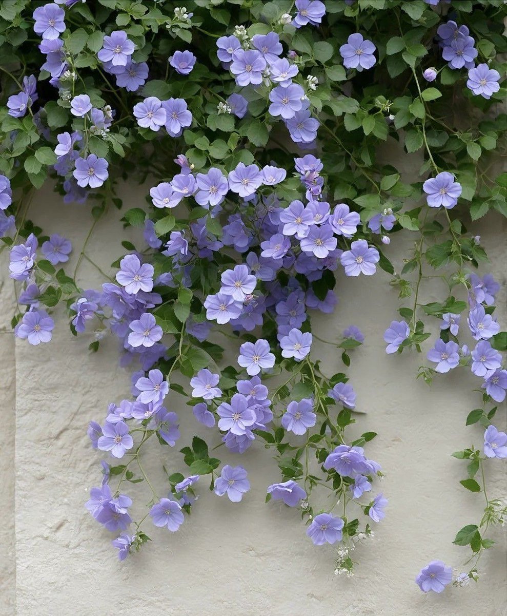 greenvibe's tweet image. 