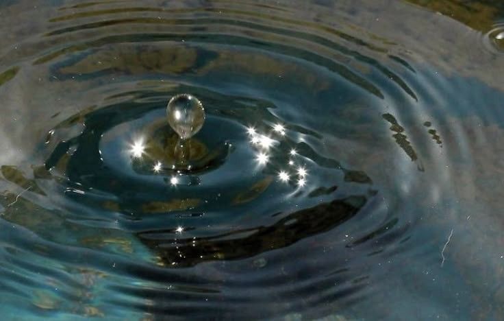 greenvibe's tweet image. 