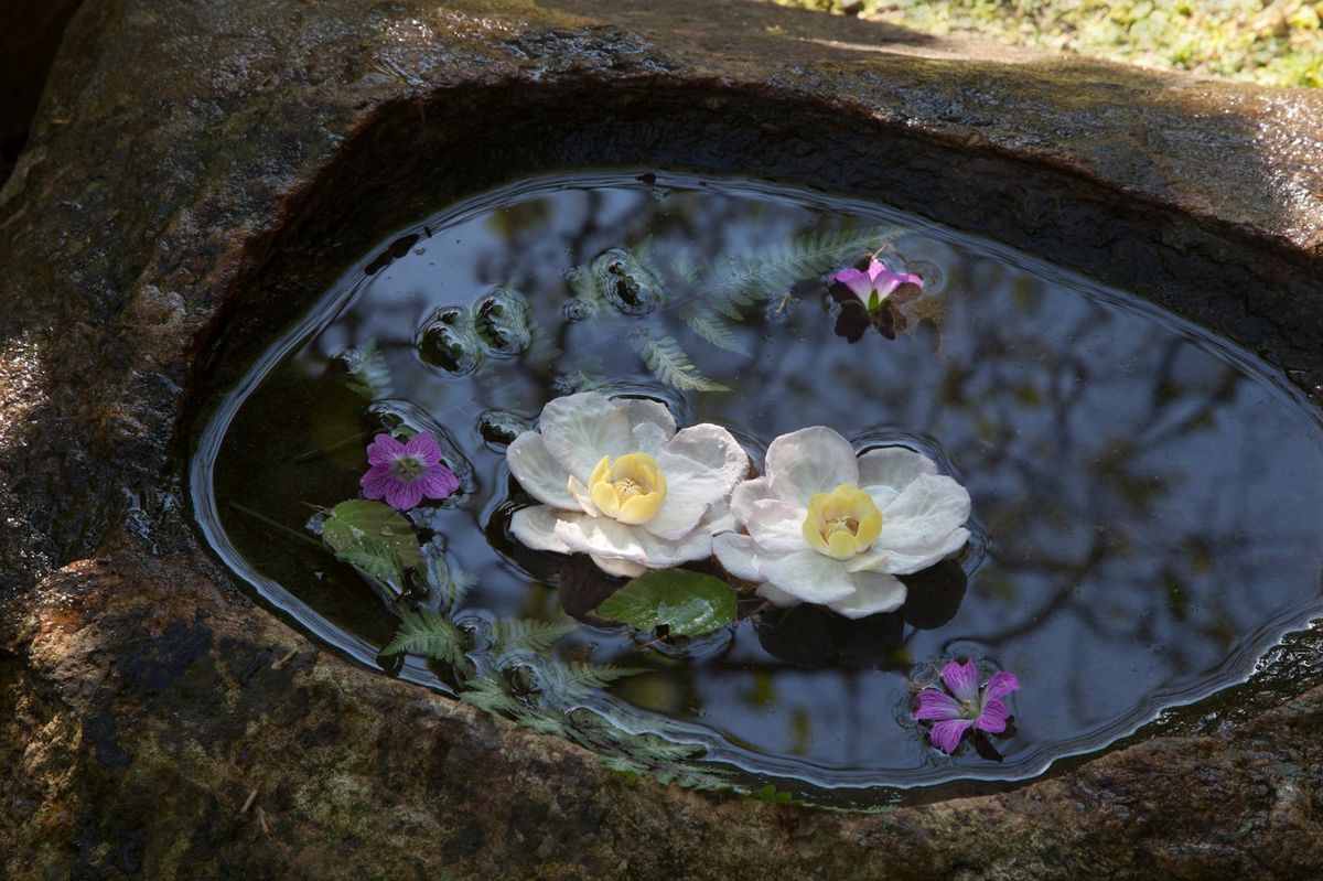 greenvibe's tweet image. 