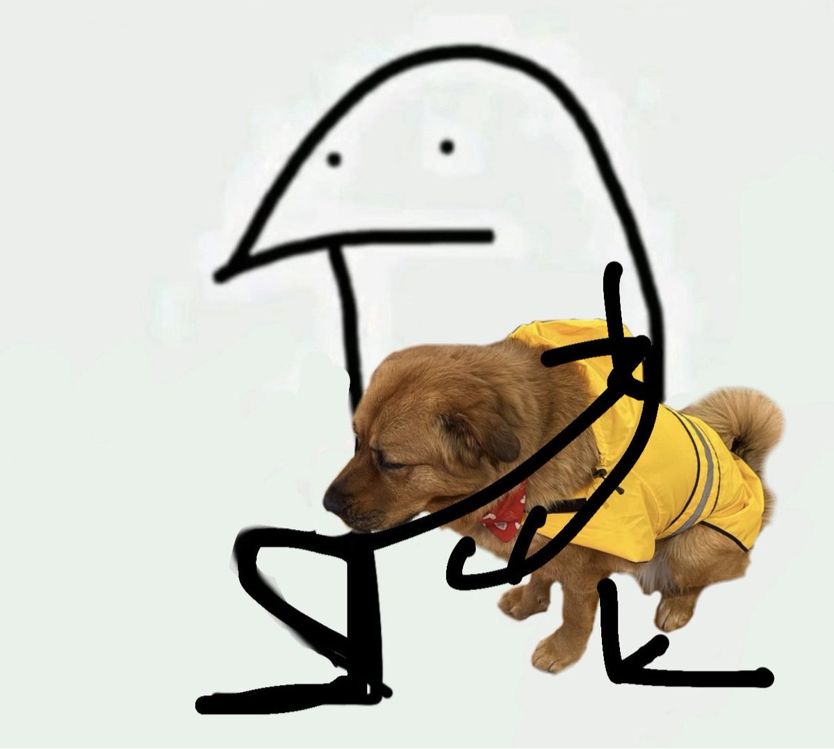 give me liberty and give me kaya piker #presidentsday