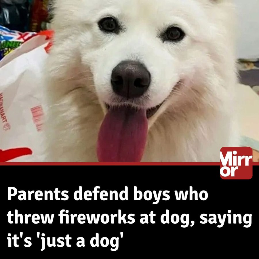 The parents of the children who burned a Dog to death played down the incident by saying "it's only a dog". 🤬🤬

A dog has been burned to death in China a horrific incident which saw two children hurl a firework into its locked cage.  

The pet, named Xiao Wang, had been living
