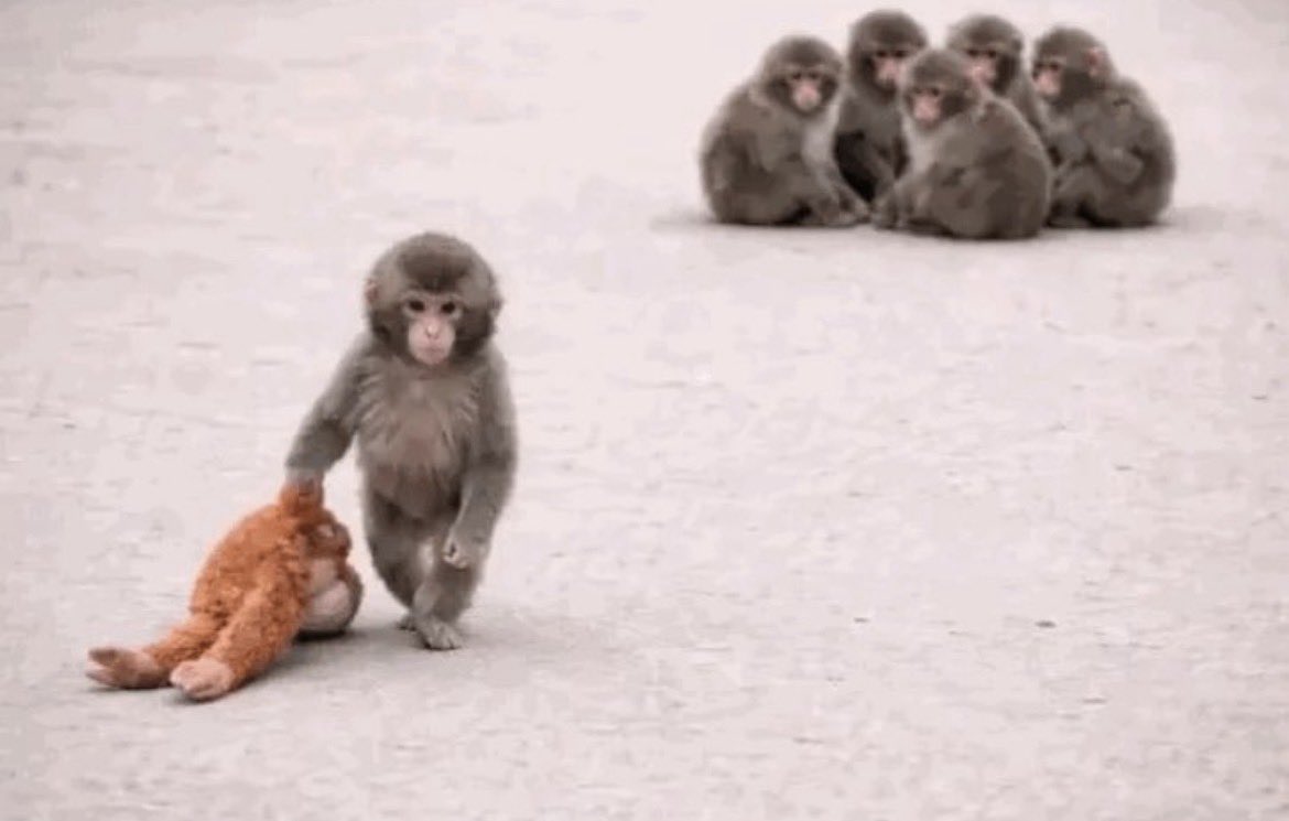 visaliss's tweet image. hetero arkadas grubundaki tek gay olmak