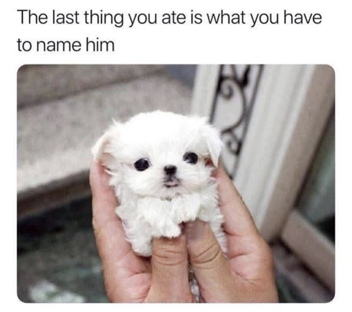 Respectful Memes tweet media