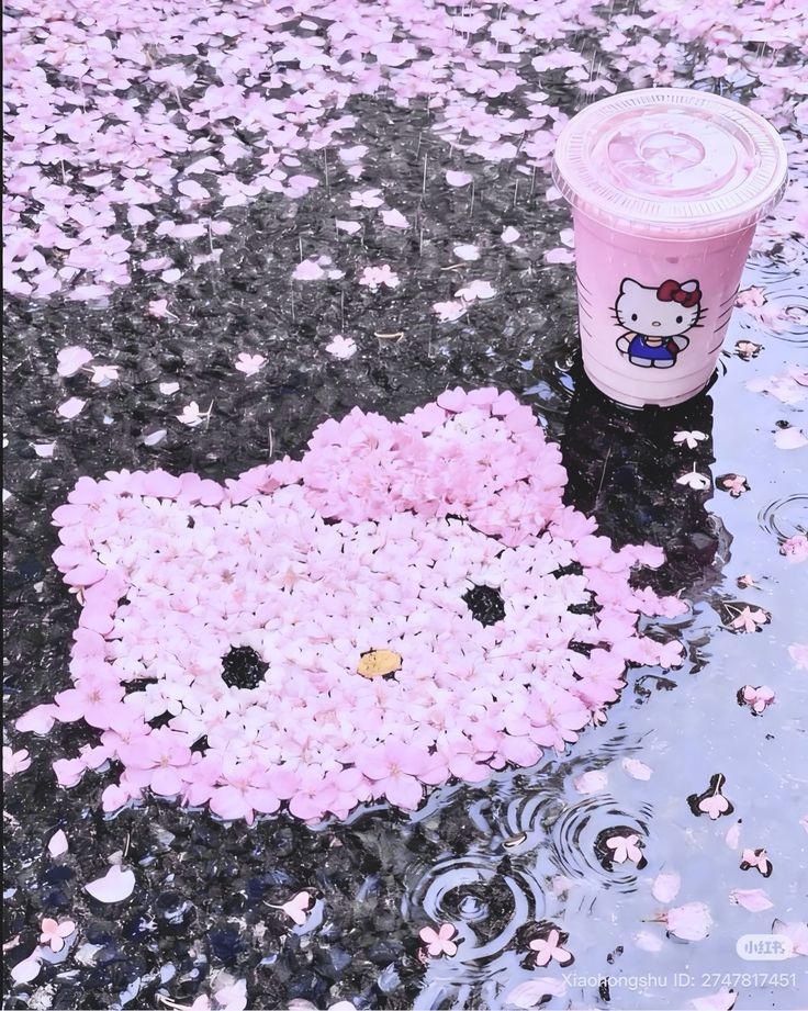 cutedreamvibes's tweet photo. https://t.co/a6NpduUgqy