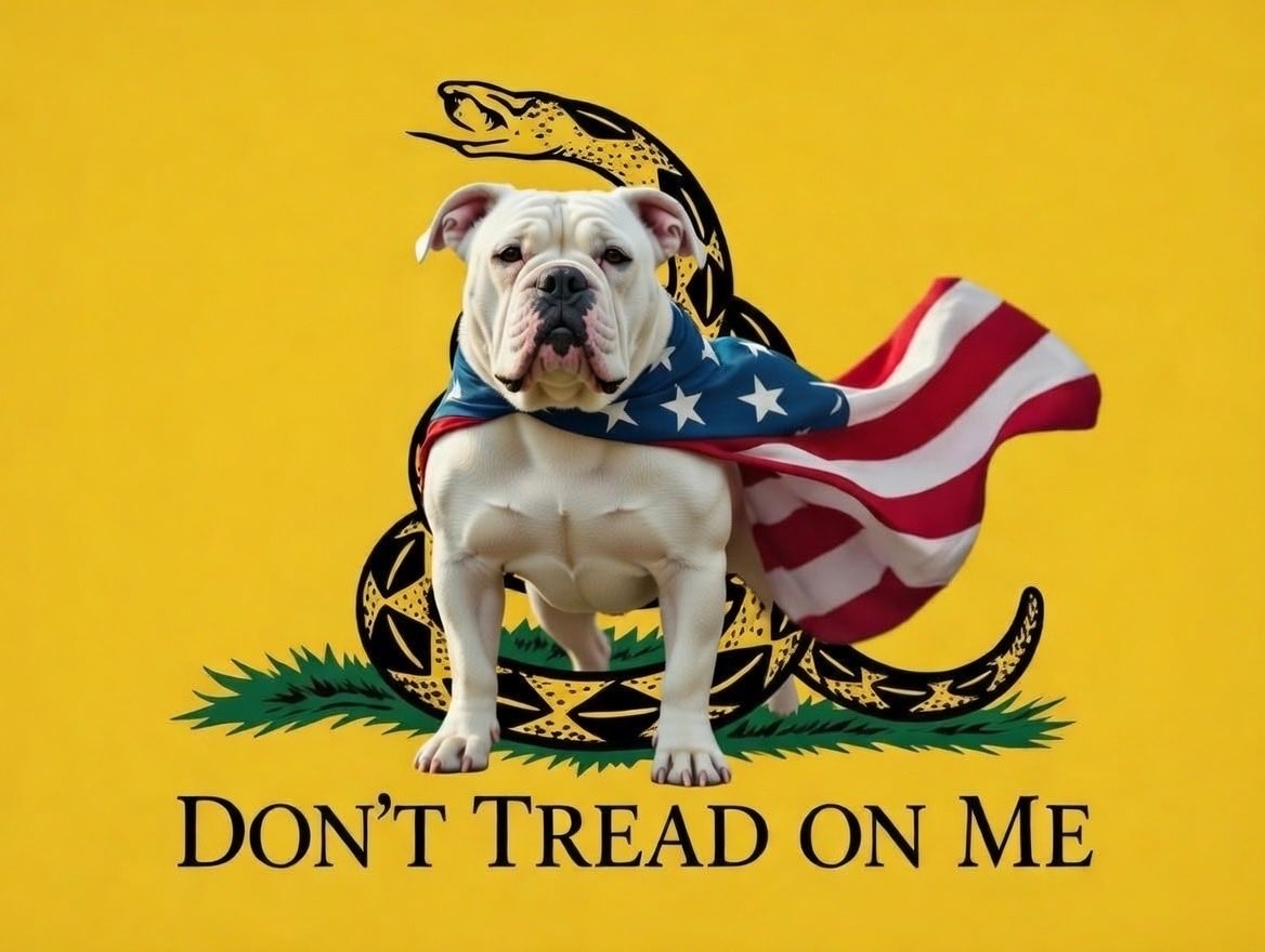 Wugi_wara's tweet image. NEVER TREAD ON THEM $Dogs

bDz6NVehx5mr8E1e5d2c8ZAqjDe7DQWZeEKPpyvdogs
