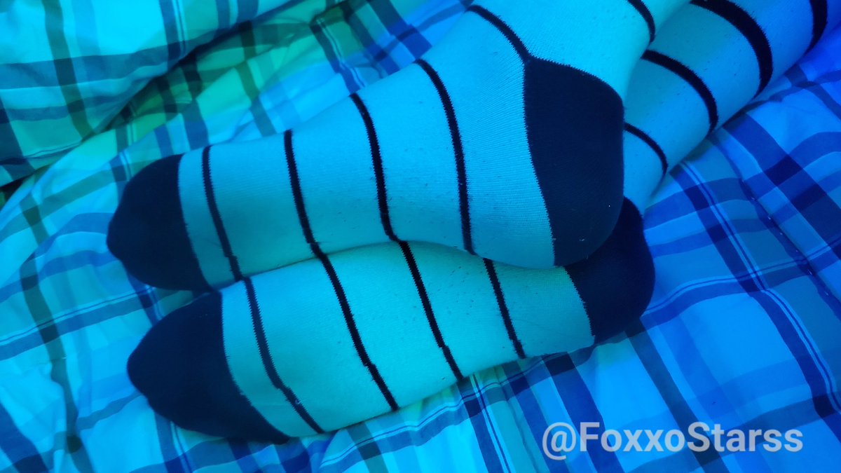 FoxxoStarss's tweet photo. Wheres the subby little loserpup that I can rest these on? https://t.co/GyXqs4UmYs