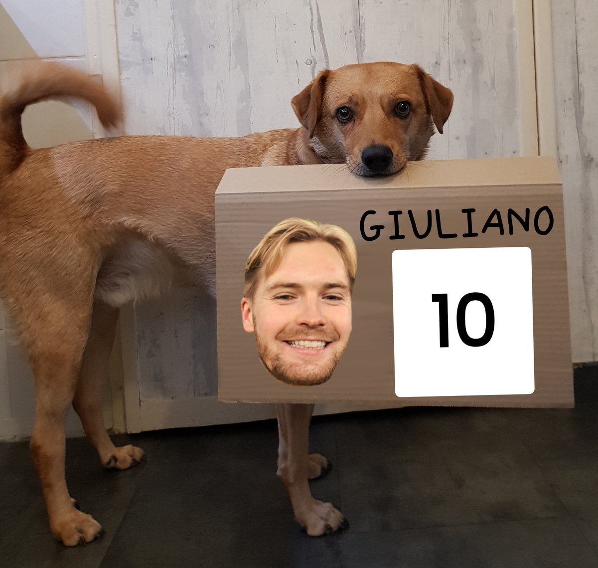 Ma note honnête pour ce passage de <a href="/Giuliotaro/">Giuliano ⭐⭐</a>