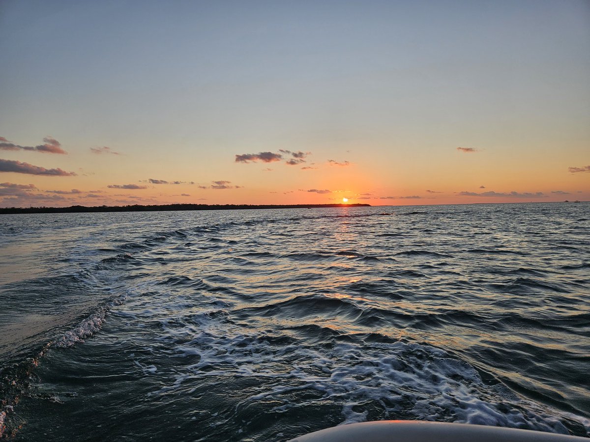 Anthony 💩 tweet media