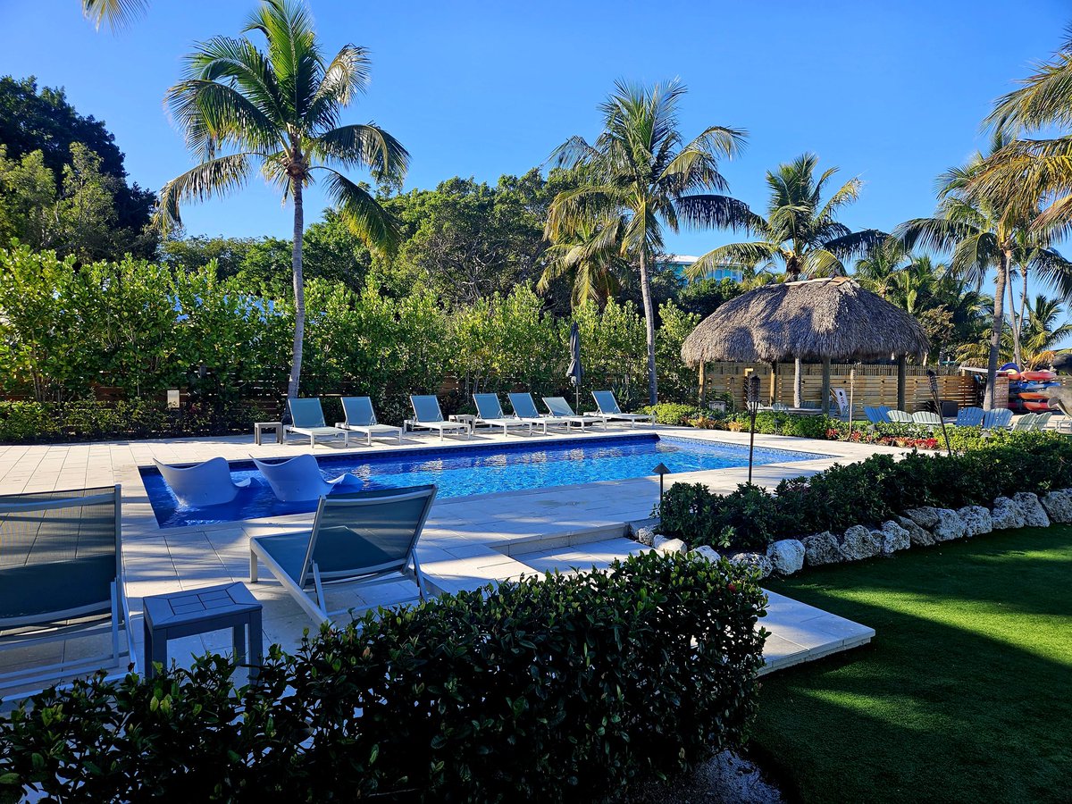 Anthony 💩 tweet media