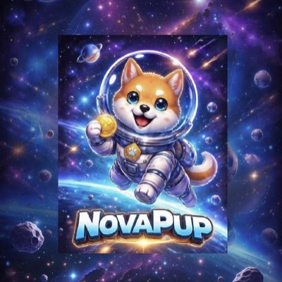 NovaPupdev's tweet image. #NewProfilePic