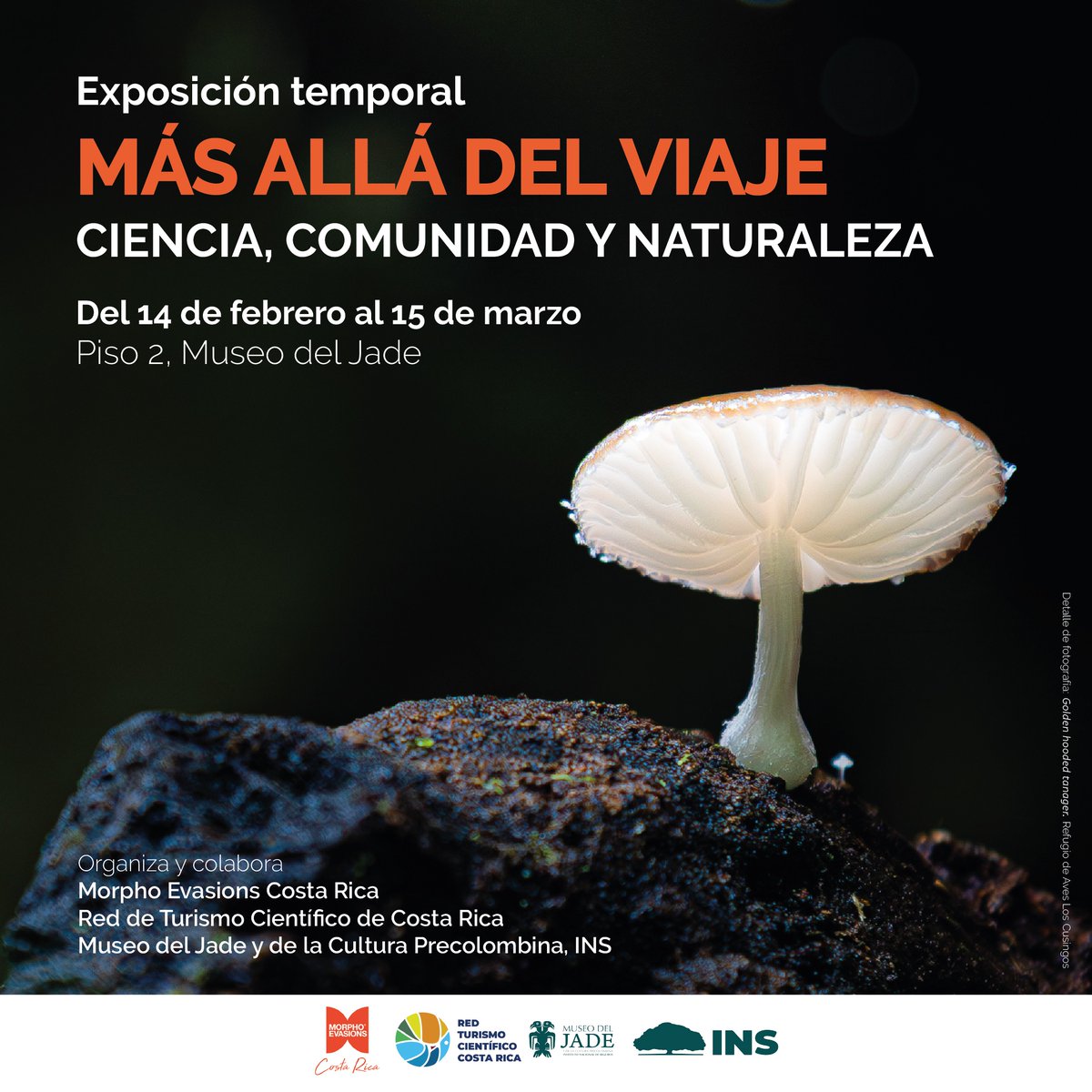 🌿✨ Exposición temporal: “Más allá del viaje” ✨🌿
 
Te invitamos a descubrir una forma diferente de viajar a través de una exposición fotográfica que revela el trabajo de mujeres y hombres dedicados a la conservación de la biodiversidad y al desarrollo sostenible en Costa Rica.