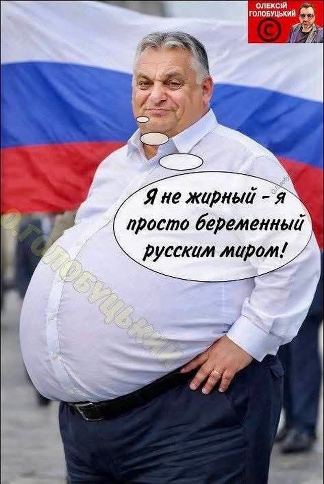 grinja72's tweet photo. https://t.co/srHkuIBCtU