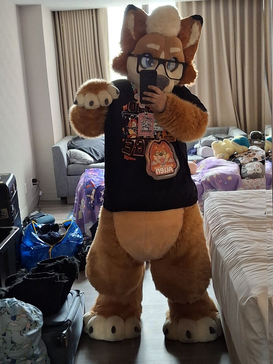 Allen the Corgi🔜TFF,FWA?,? tweet media